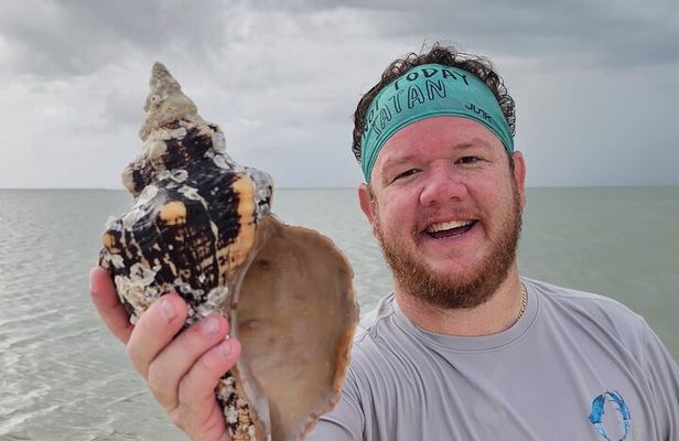 Naples Keewaydin Shelling Dolphin and Beach Tours