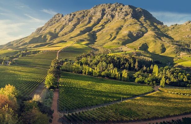 The Best Wine Walking Tour in Stellenbosch