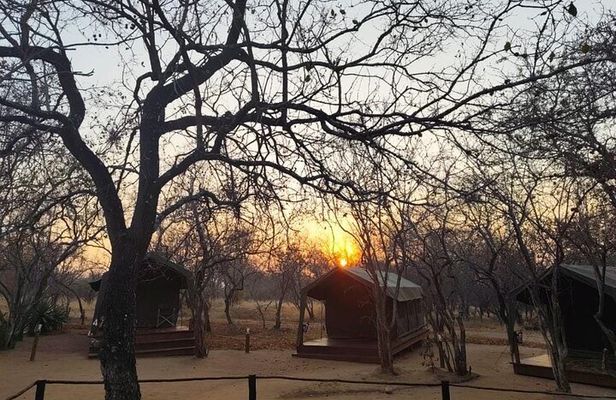 2 Day Sekekama Glamping Safari