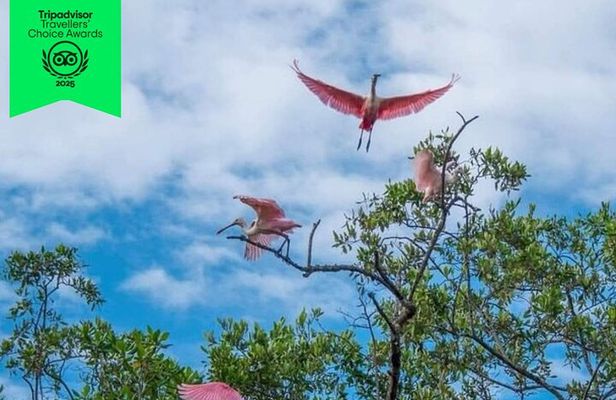 Bird Watching boat tour in the Gulf of Nicoya