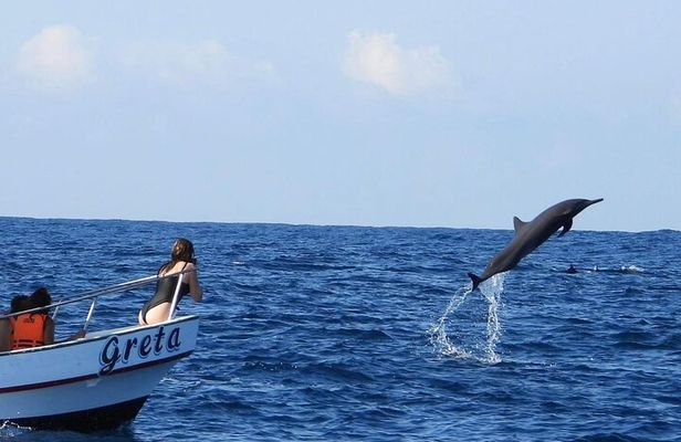 Dolphin and Whale Watching Boat Trip in Puerto Escondido
