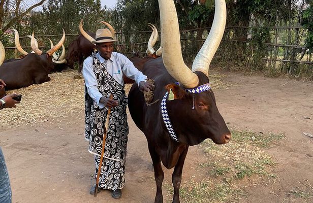 One Day King’s Palace, Ethnographic Museum Tour w/ Coffee Option