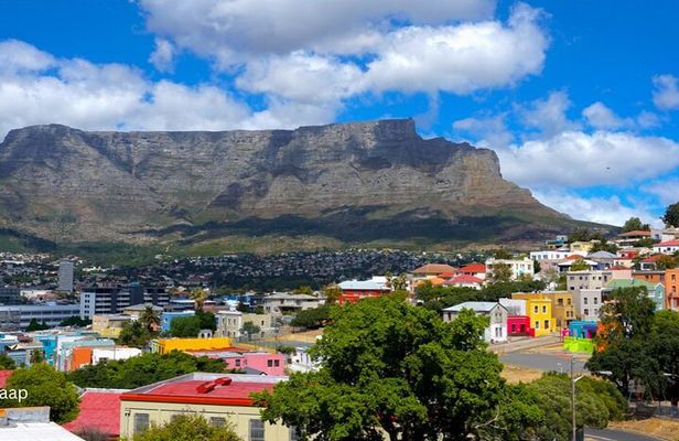 Cape Peninsula Full Day Tour with Penguins and Ocean Views