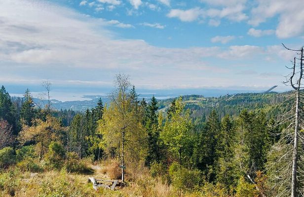 Oslo's Scenic Fjord Hike & Chef's Norwegian Forest Waffle