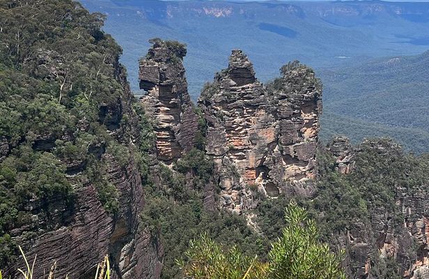 Sydney to Blue Mountains Private Day Tour with Irene