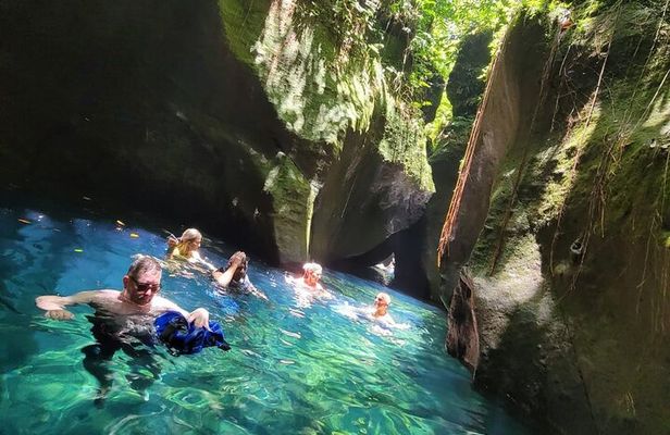 Roseau Rainforest tour of Waterfalls and water canyon swimming