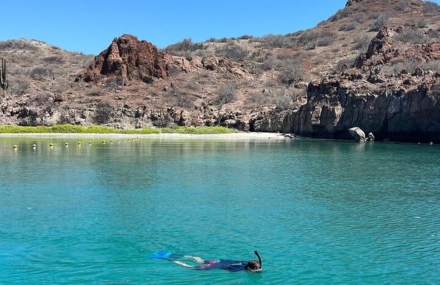 Snorkeling Adventure with Picnic from Villa del Palmar Hotel