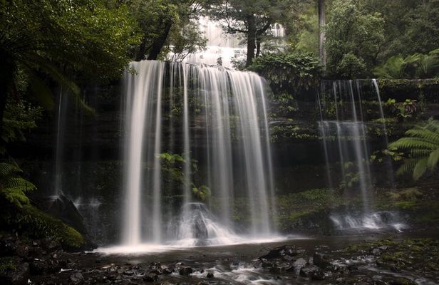 Hobart: Waterfalls, Wilderness & Wildlife - Active Day Tour