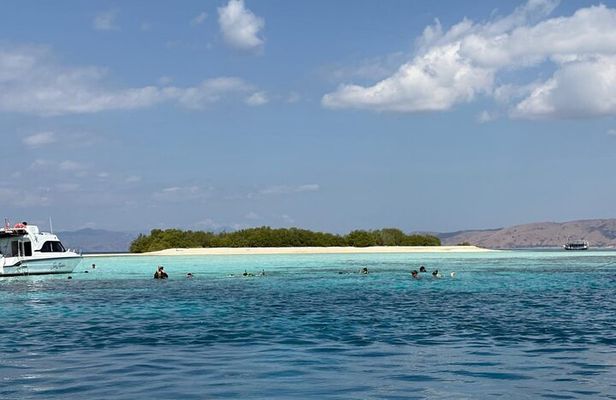 Full Day Open Trip Komodo