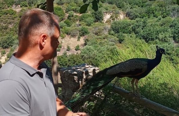 Explore Botanical Garden Mountain Views and Culture in Crete