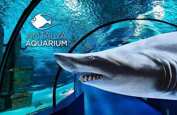 Antalya Aquarium & Fun Park Tour–All-Inclusive with Hotel Pickup