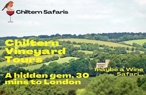 Chilterns Blue Line Wine Tour Explore Boutique Vineyards