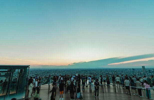 Shibuya Guided Tour to Hachiko and Sky Views