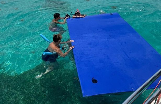 Private 4 Hour Snorkel and Sandbar Charter in Islamorada