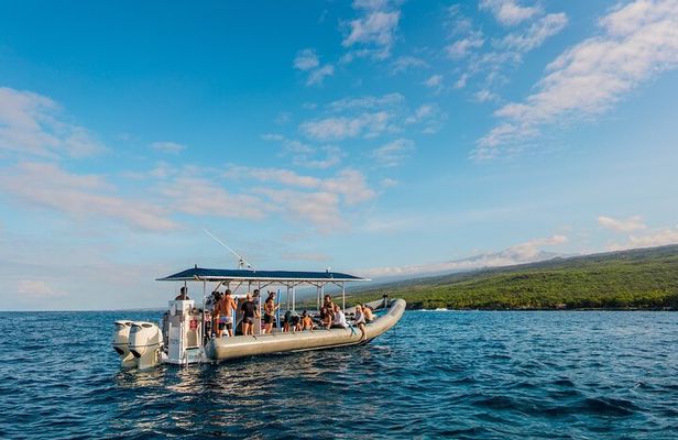 Exclusive Super Raft Kona Snorkel Tour Family Friendly Adventure