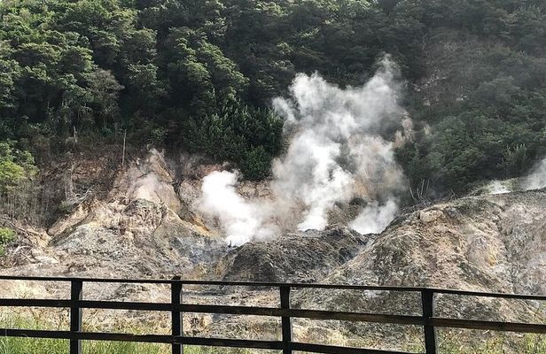 Sulphur Springs Mud Bath Volcano Tour and Waterfall with Lunch