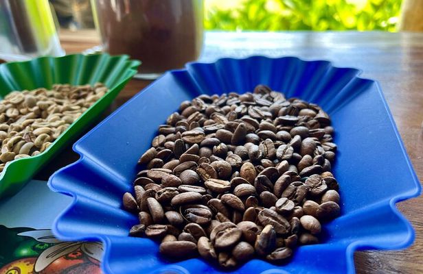 Coffee and Mountains with Personal Coffee Experience