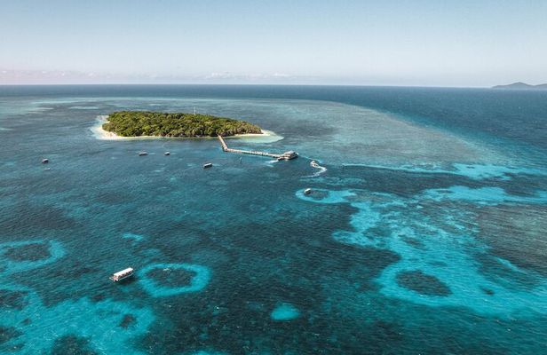 Explore Green Island with Diving options from Cairns