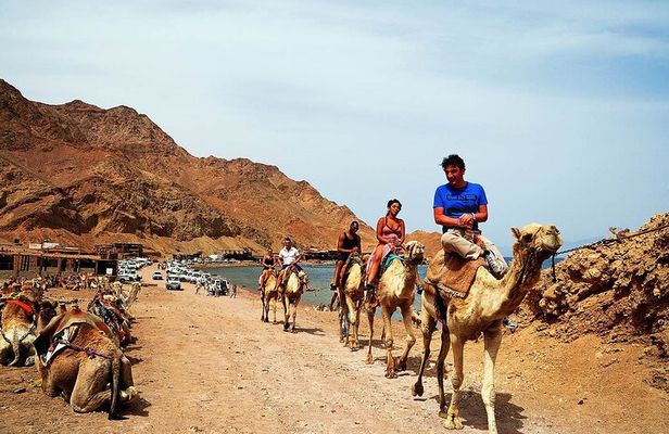 Dahab Quad Bike Safari & Canyon Tour from Sharm El Sheikh
