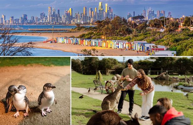 Melbourne: Penguin Parade , Koala & Brighton Bathing Boxes