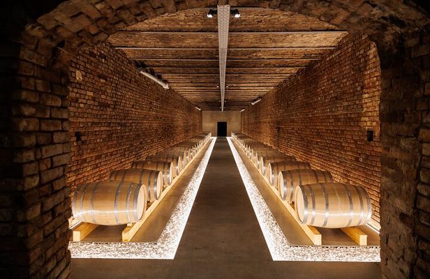 Wine tour and Wine tasting