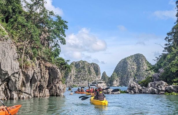 Hanoi: Luxury Cat Ba Island, Lan Ha Bay Scenic Day Cruise & Lunch