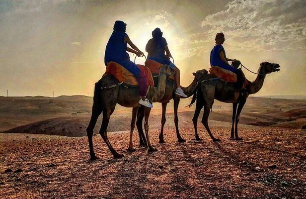  Agafay Sunset Tour: Quad, Camel Ride & Dinner Show