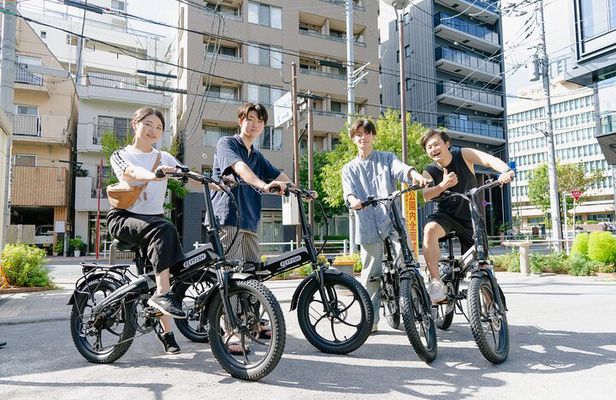 Tokyo: Private Electric Bike Tour of City Highlights