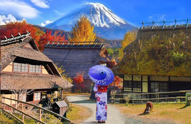From Tokyo: Mount Fuji Sightseeing Full Day Trip