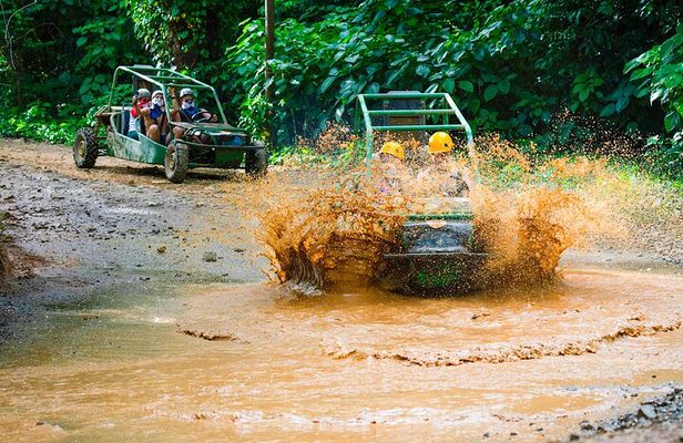 Full Adventure Adrenaline Nature Zipline Buggy and Horse