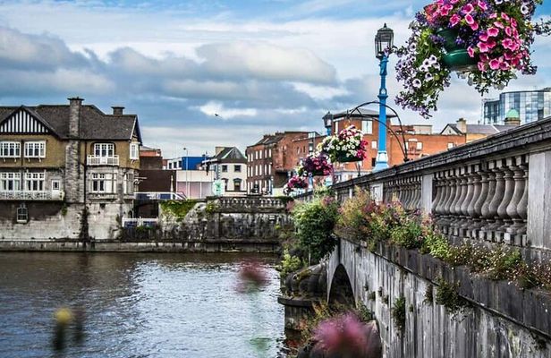 Limerick Private Walking Tour with a Local