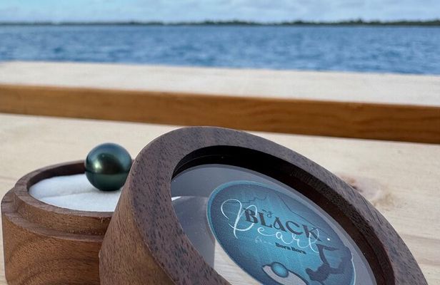 Snorkeling Shark Ray and Discovery DE the Black Pearl in Bora Bora