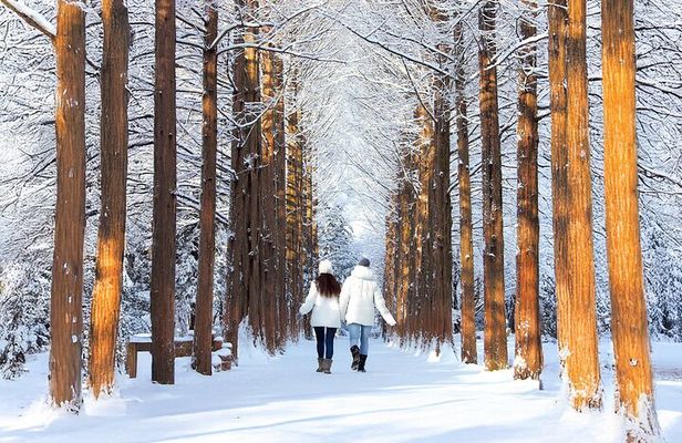 Half Day Tour to Eobi Ice Valley and Nami Island