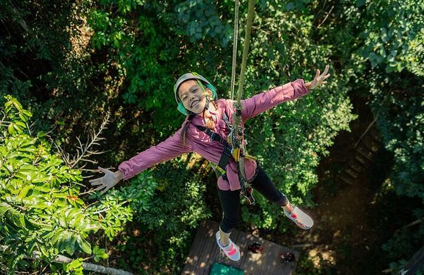 Chiang Mai Sky Hawk Zipline Adventure in the Jungle Canopy