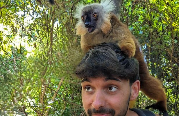 Lokobe Tour: Pirogue, Lemur Forest and Malagasy Lunch