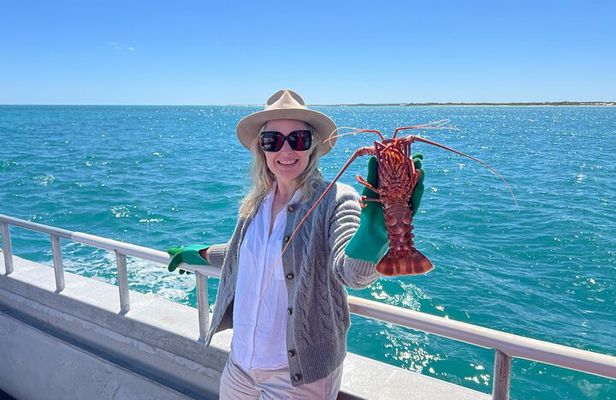 Pinnacles Desert and Catch Your Own Lobster Lunch Safari.