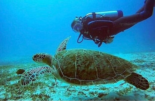 Anguilla Based: PADI Discover Scuba (Introductory Dive)