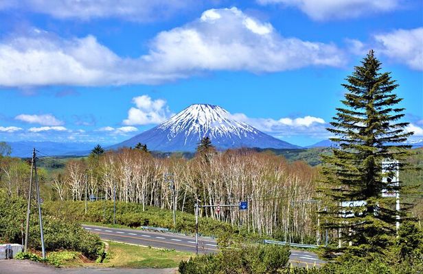 From Sapporo: Private Hokkaido Volcanoes and Lakes Day Trip