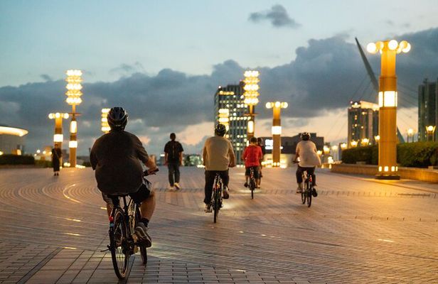 Tokyo Bay Area Sunset Night View 3h Guided Cycling Tour