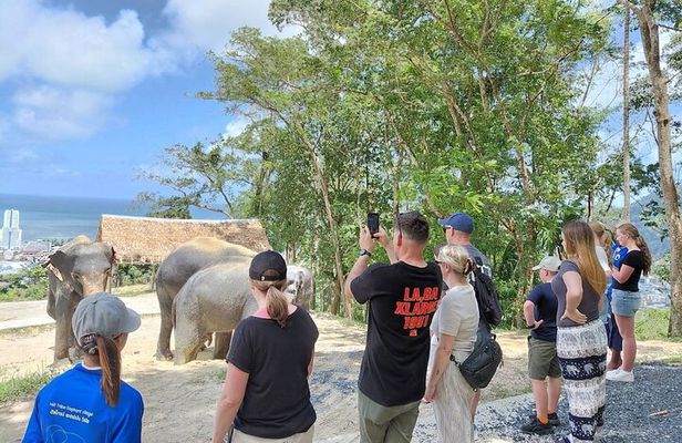 Elephant Sanctuary Small Group Tour in Phuket