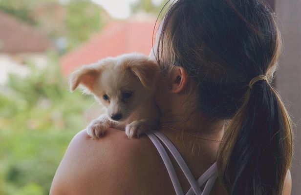 Puppy Yoga in Bali Ubud №1 Thing to Do in Bali
