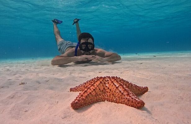 Private Cozumel Snorkeling Adventure From Riviera Maya