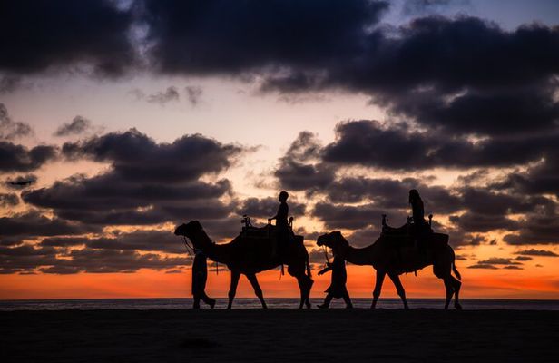 Camel Ride and Tequila Tasting Adventure in Los Cabos