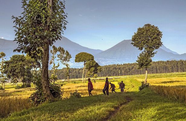 Volcanoes Scenic Walk and Caves Exploration Tour