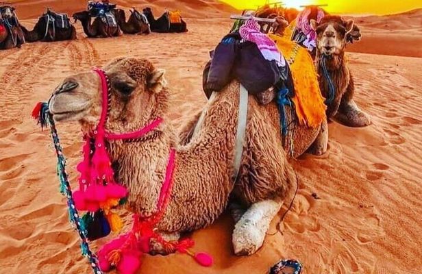 2 Days from Fez to Merzouga with Group