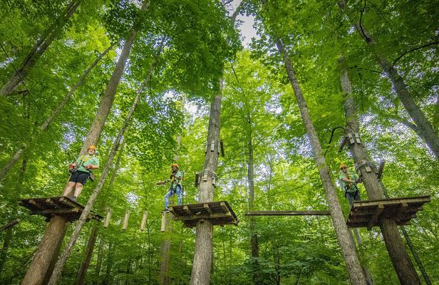 TimberTrek Treetop Challenge Adventure