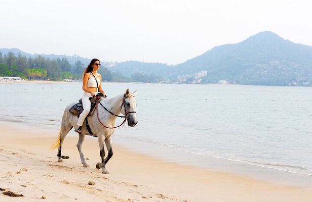 Horse Riding Kamala Beach Phuket One Hour Tour