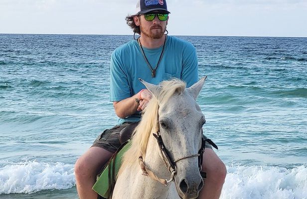 Chocaci Ranch Punta Cana Horse Monkey and Buggy