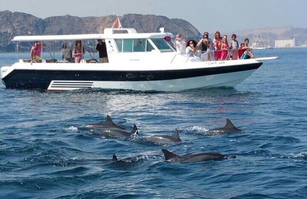 Muscat Dolphin Watching and Coastal Sightseeing