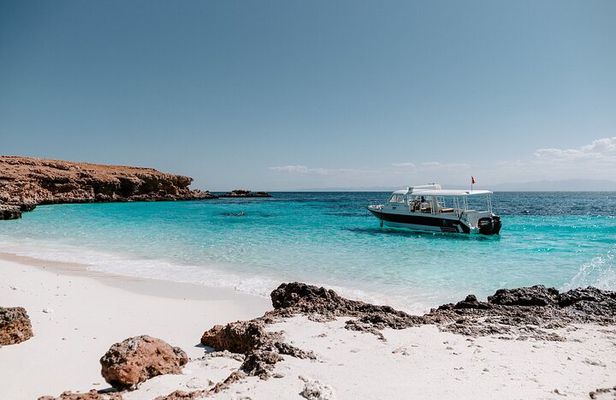 Al Mouj: Daymaniyat Island Natural Reserve Snorkeling